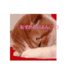 mipo's2（個別スタンプ：3）