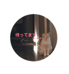 mipo's2（個別スタンプ：5）