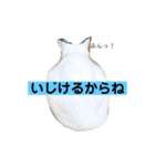 mipo's2（個別スタンプ：9）