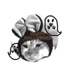 mipo's2（個別スタンプ：13）