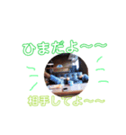 やむの日常（個別スタンプ：5）