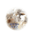 あみぐるみで癒しをお届け（個別スタンプ：4）