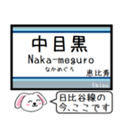 メトロ日比谷線 いまこの駅だよ！タレミー（個別スタンプ：1）