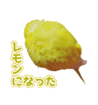 キィちゃんスタンプ2（個別スタンプ：3）