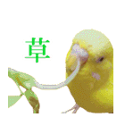 キィちゃんスタンプ2（個別スタンプ：5）