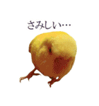 キィちゃんスタンプ2（個別スタンプ：7）