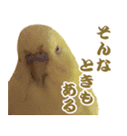 キィちゃんスタンプ2（個別スタンプ：18）