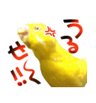 キィちゃんスタンプ2（個別スタンプ：28）