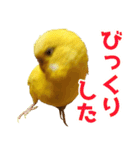 キィちゃんスタンプ2（個別スタンプ：29）
