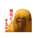 キィちゃんスタンプ2（個別スタンプ：32）