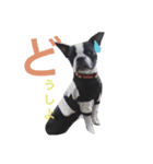 毎日niconico2（個別スタンプ：7）