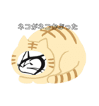 対馬やまねこ歯科1（個別スタンプ：6）