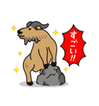 アドベンチャーワールド・オールキャスト（個別スタンプ：28）