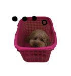 たいむ（個別スタンプ：4）