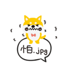 柴犬ももちゃんの会話（個別スタンプ：9）