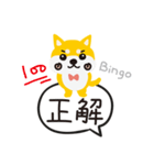 柴犬ももちゃんの会話（個別スタンプ：16）