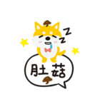 柴犬ももちゃんの会話（個別スタンプ：24）