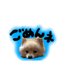 ぴのくんすたんぷ（個別スタンプ：2）