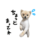 ぴのくんすたんぷ（個別スタンプ：3）