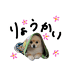 ぴのくんすたんぷ（個別スタンプ：4）