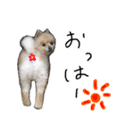 ぴのくんすたんぷ（個別スタンプ：8）
