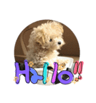 たこまるところちゃんのスタンプ（個別スタンプ：5）