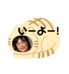 渦丸よさこい2（個別スタンプ：5）
