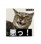 にゃん太 2（個別スタンプ：1）