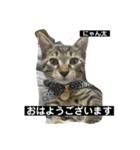 にゃん太 2（個別スタンプ：2）
