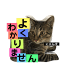 にゃん太 2（個別スタンプ：9）