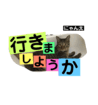 にゃん太 2（個別スタンプ：10）