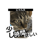にゃん太 2（個別スタンプ：17）