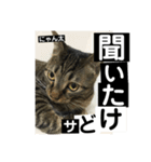 にゃん太 2（個別スタンプ：18）
