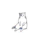 気だるげな猫（個別スタンプ：8）