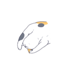 気だるげな猫（個別スタンプ：10）