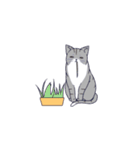 気だるげな猫（個別スタンプ：14）