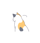気だるげな猫（個別スタンプ：17）