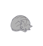 気だるげな猫（個別スタンプ：21）