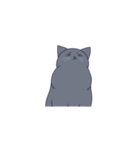 気だるげな猫（個別スタンプ：29）