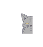 気だるげな猫（個別スタンプ：34）