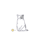 気だるげな猫（個別スタンプ：37）