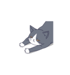 気だるげな猫（個別スタンプ：38）