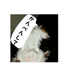 僕はあべfet.悟天（個別スタンプ：3）