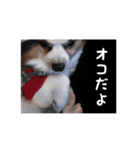 僕はあべfet.悟天（個別スタンプ：4）