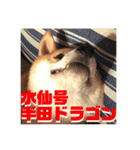 かわいいななちゃん -飯編-（個別スタンプ：15）