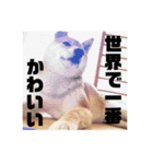かわいいななちゃん -飯編-（個別スタンプ：16）