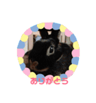 mipo's（個別スタンプ：1）