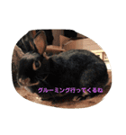 mipo's（個別スタンプ：3）