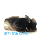 mipo's（個別スタンプ：4）