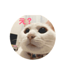 mipo's（個別スタンプ：6）